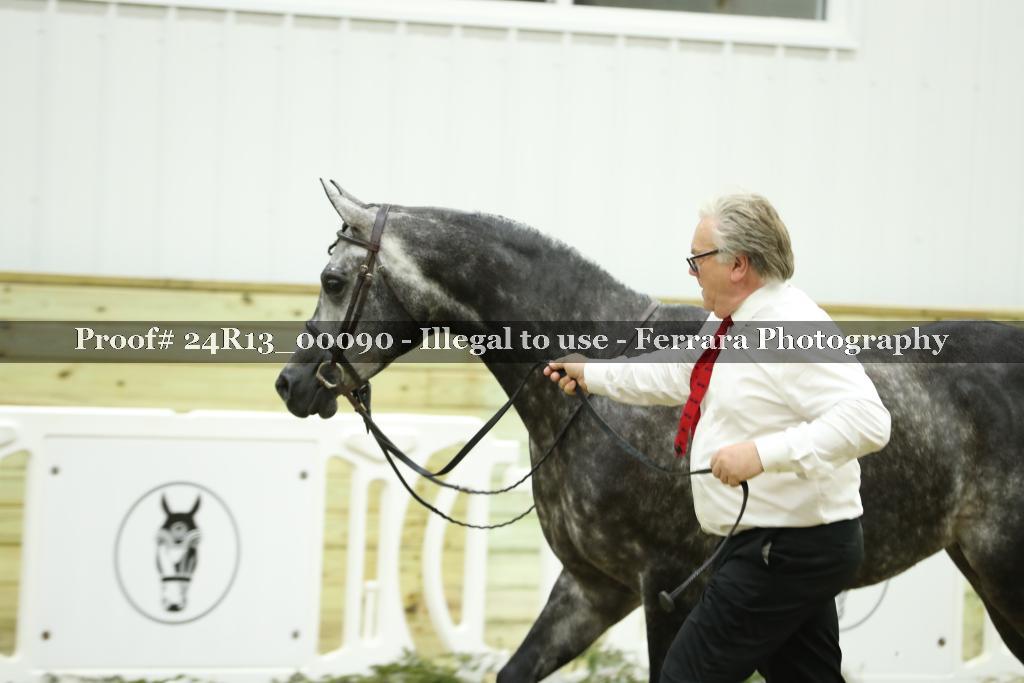 Proof Number 24R13_00090