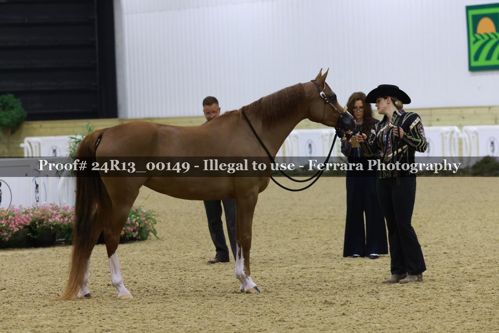 Proof Number 24R13_00149