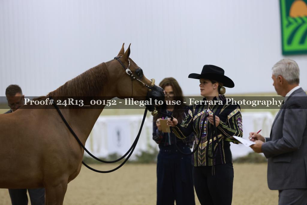 Proof Number 24R13_00152