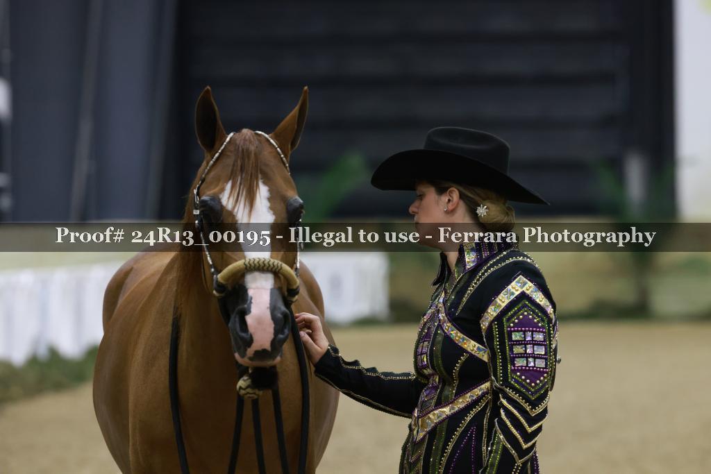 Proof Number 24R13_00195
