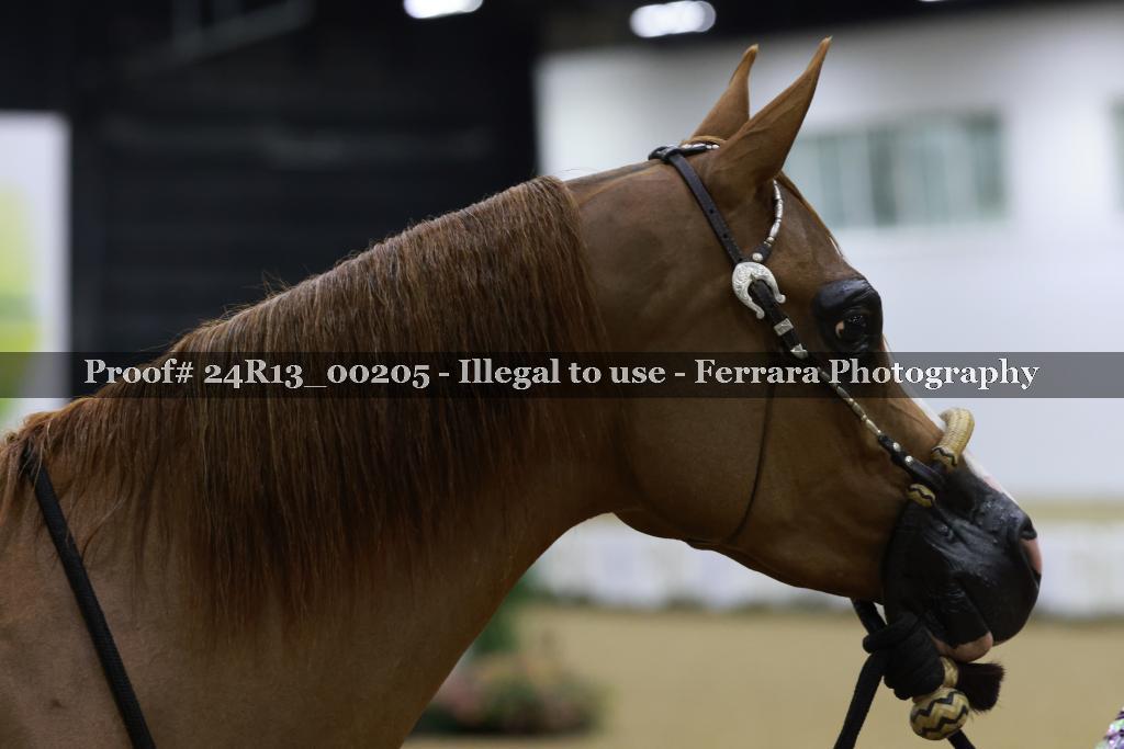 Proof Number 24R13_00205