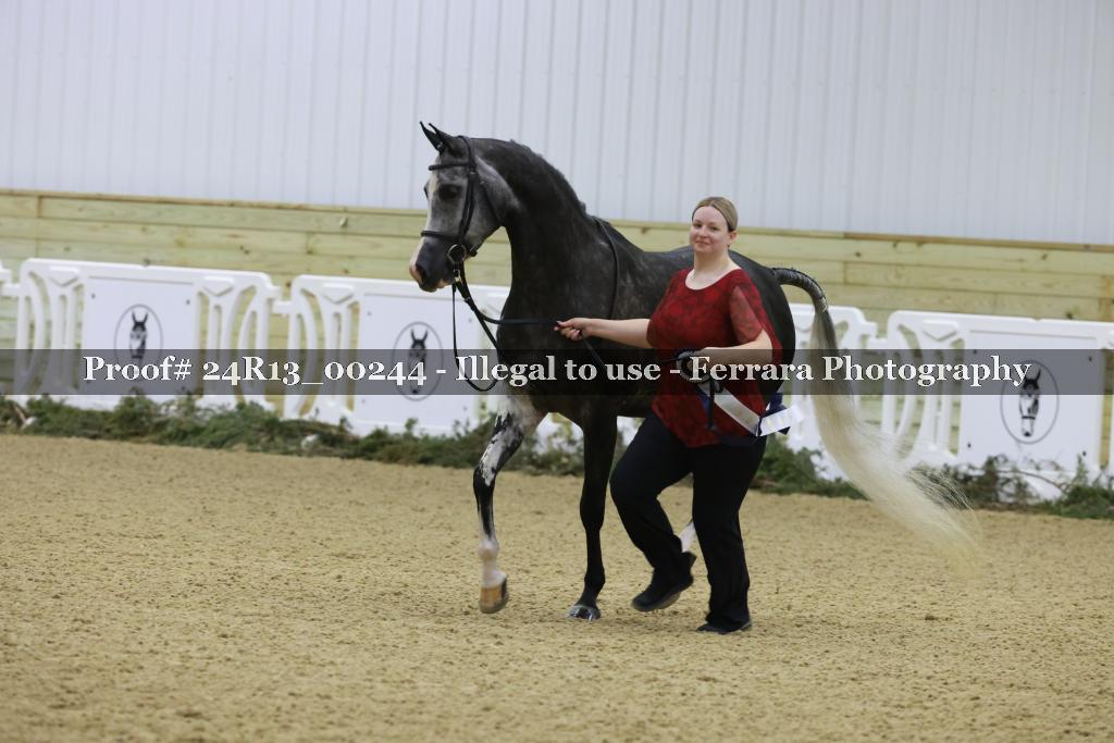Proof Number 24R13_00244