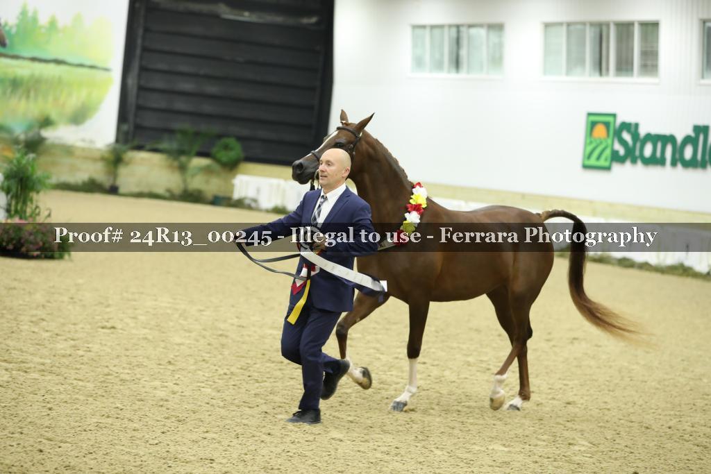 Proof Number 24R13_00245