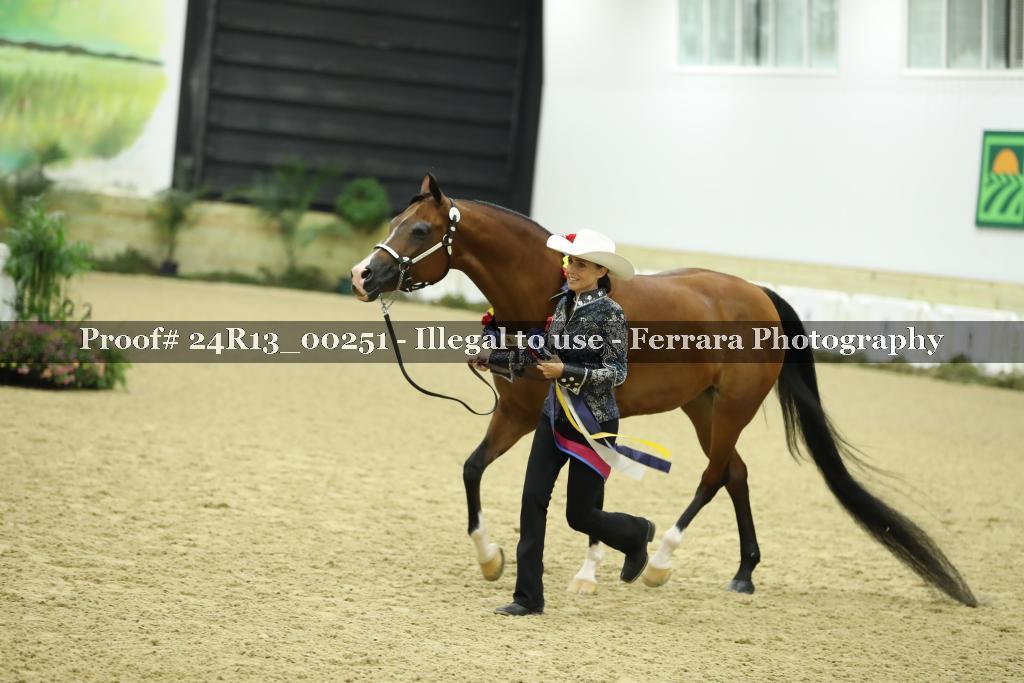 Proof Number 24R13_00251