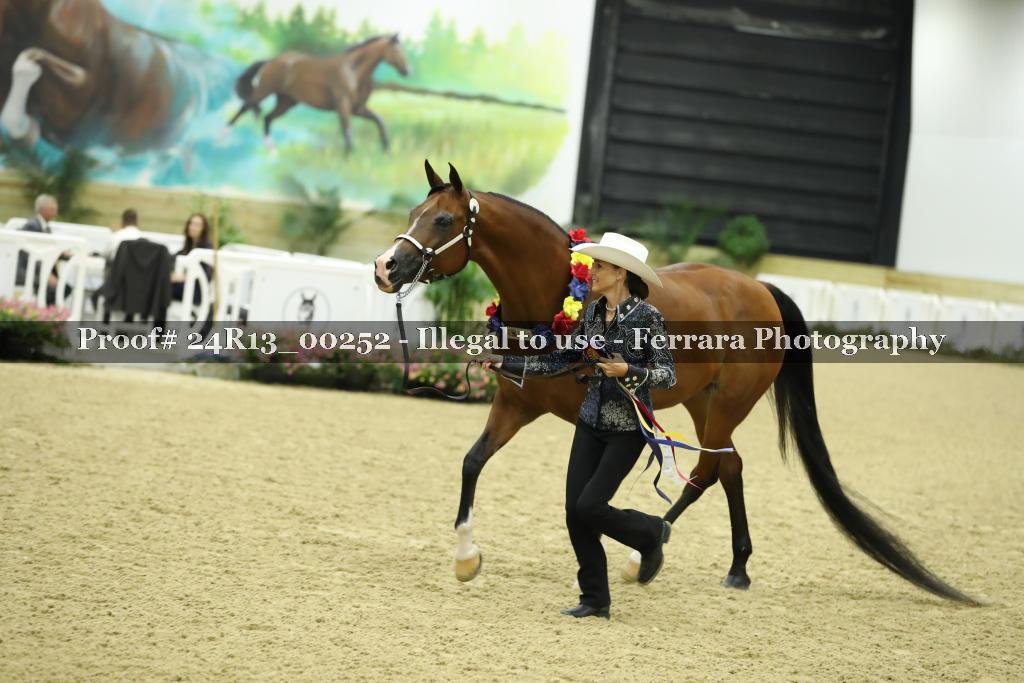Proof Number 24R13_00252