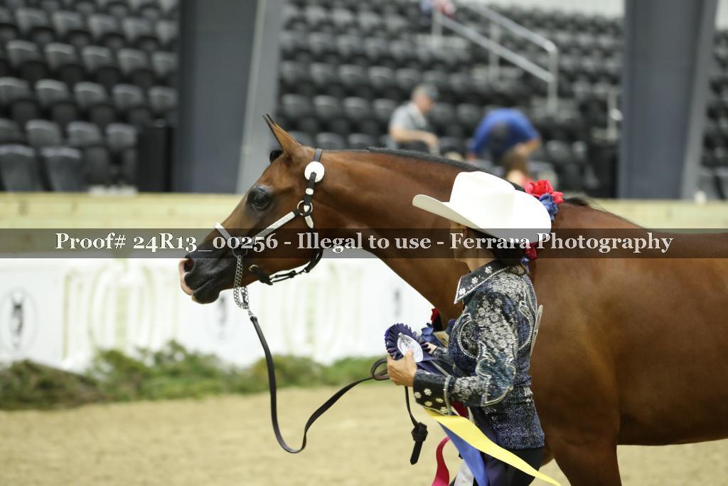 Proof Number 24R13_00256