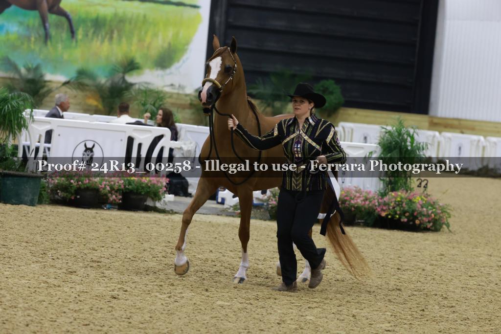 Proof Number 24R13_00258