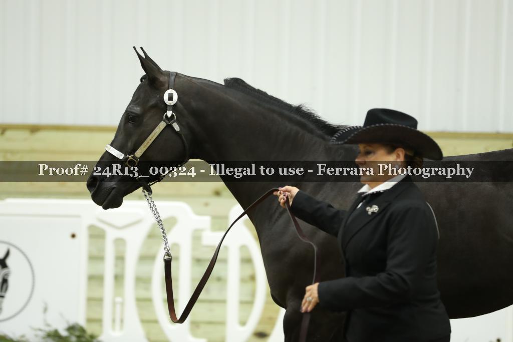 Proof Number 24R13_00324