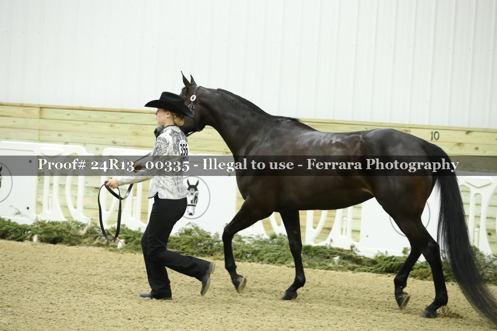 Proof Number 24R13_00335