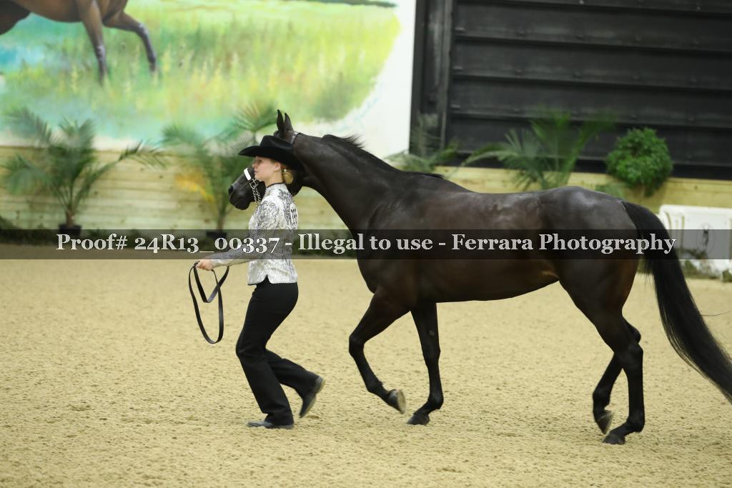 Proof Number 24R13_00337