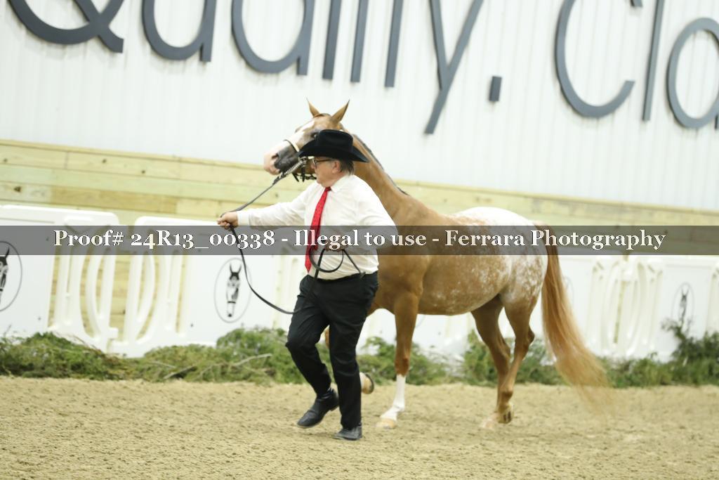 Proof Number 24R13_00338