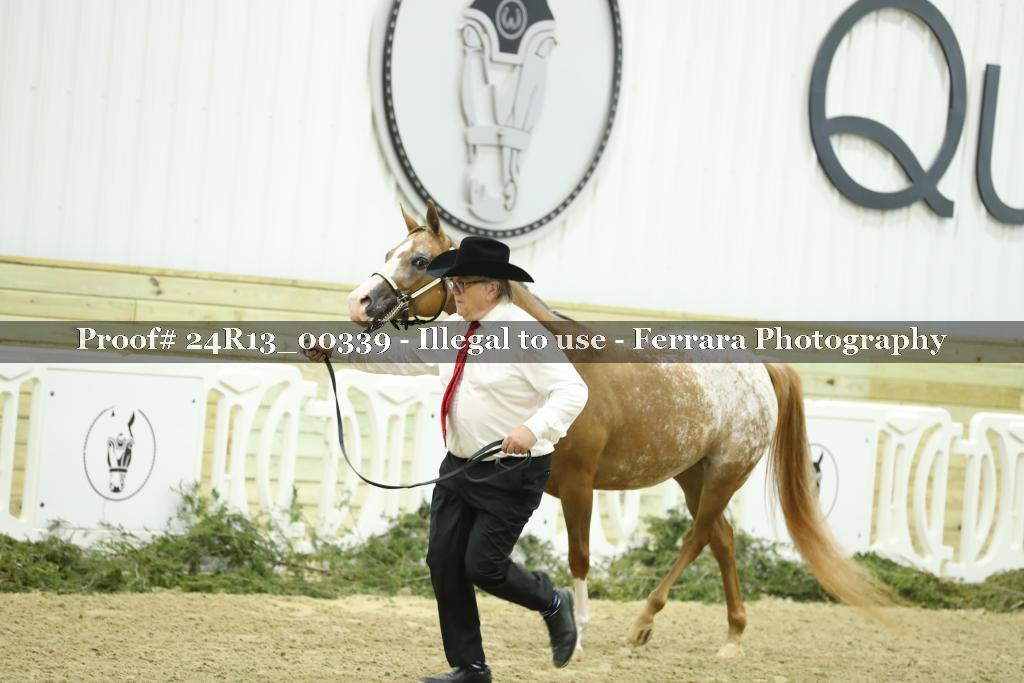 Proof Number 24R13_00339