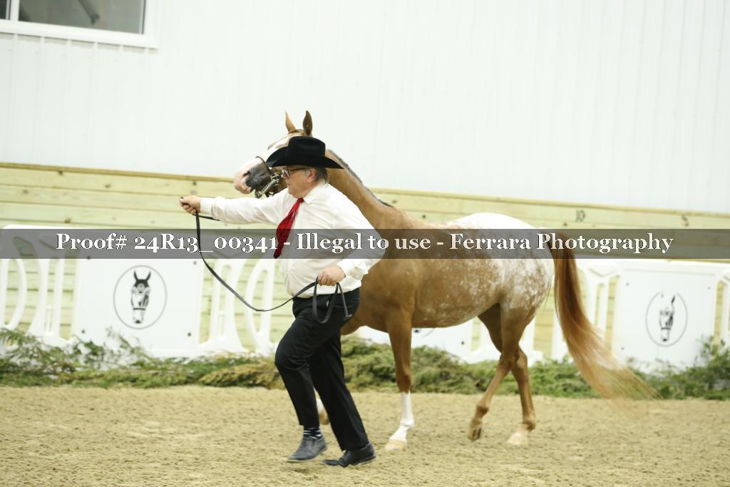Proof Number 24R13_00341