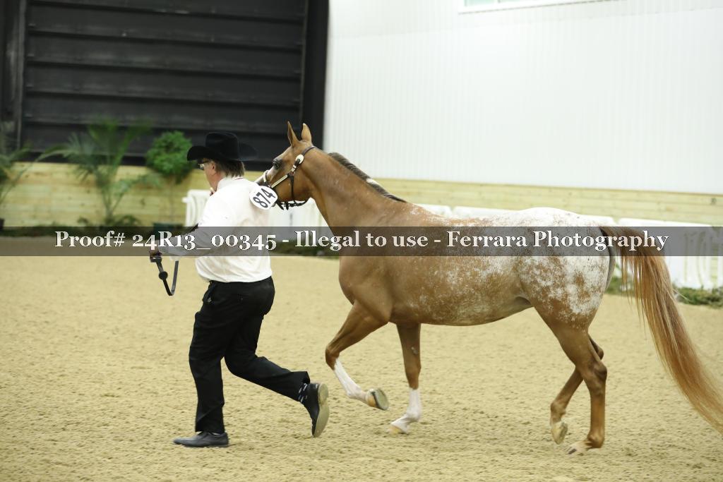 Proof Number 24R13_00345