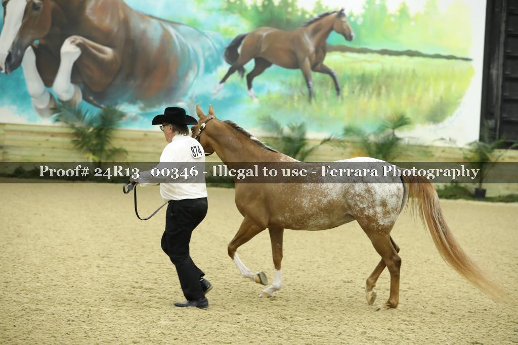 Proof Number 24R13_00346
