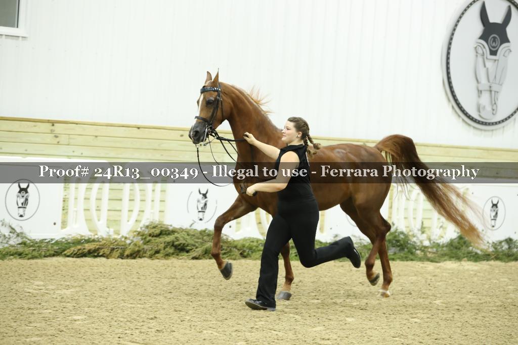 Proof Number 24R13_00349