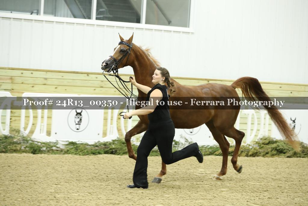 Proof Number 24R13_00350