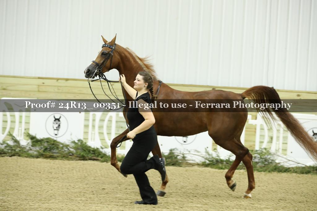 Proof Number 24R13_00351