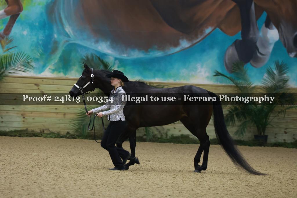 Proof Number 24R13_00354
