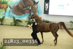 24R13_00356 thumbnail