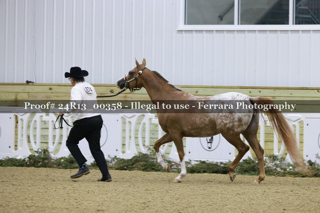 Proof Number 24R13_00358