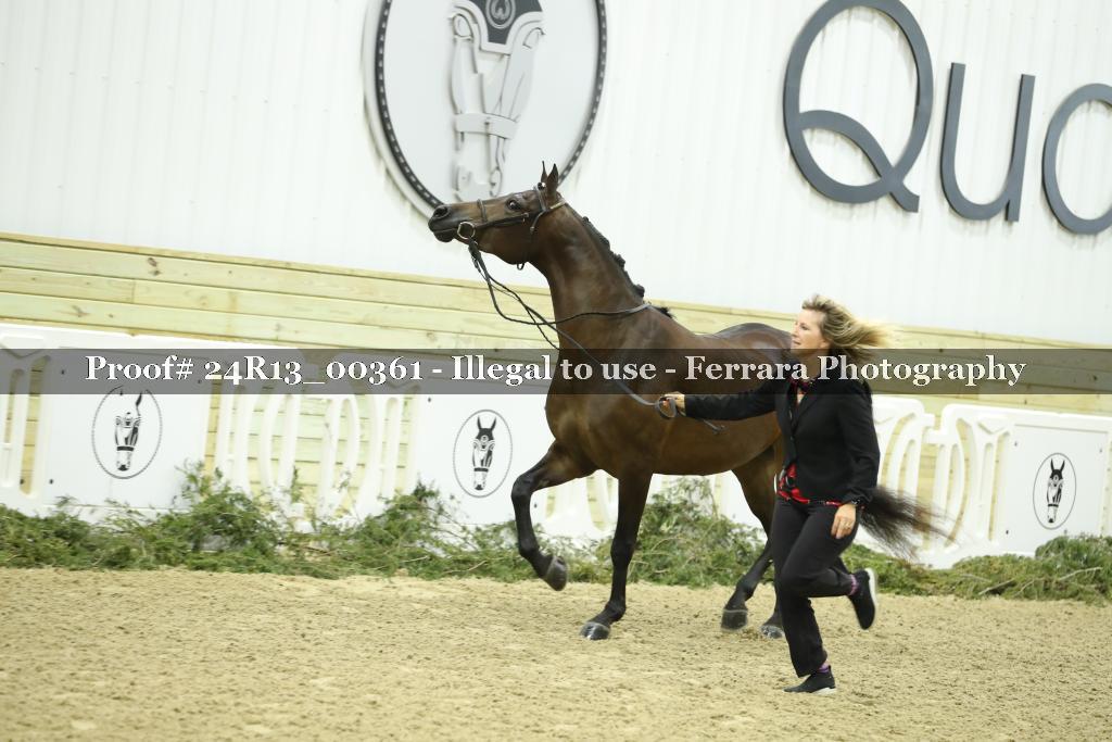 Proof Number 24R13_00361