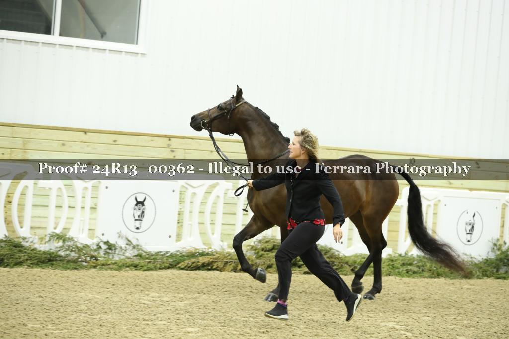Proof Number 24R13_00362