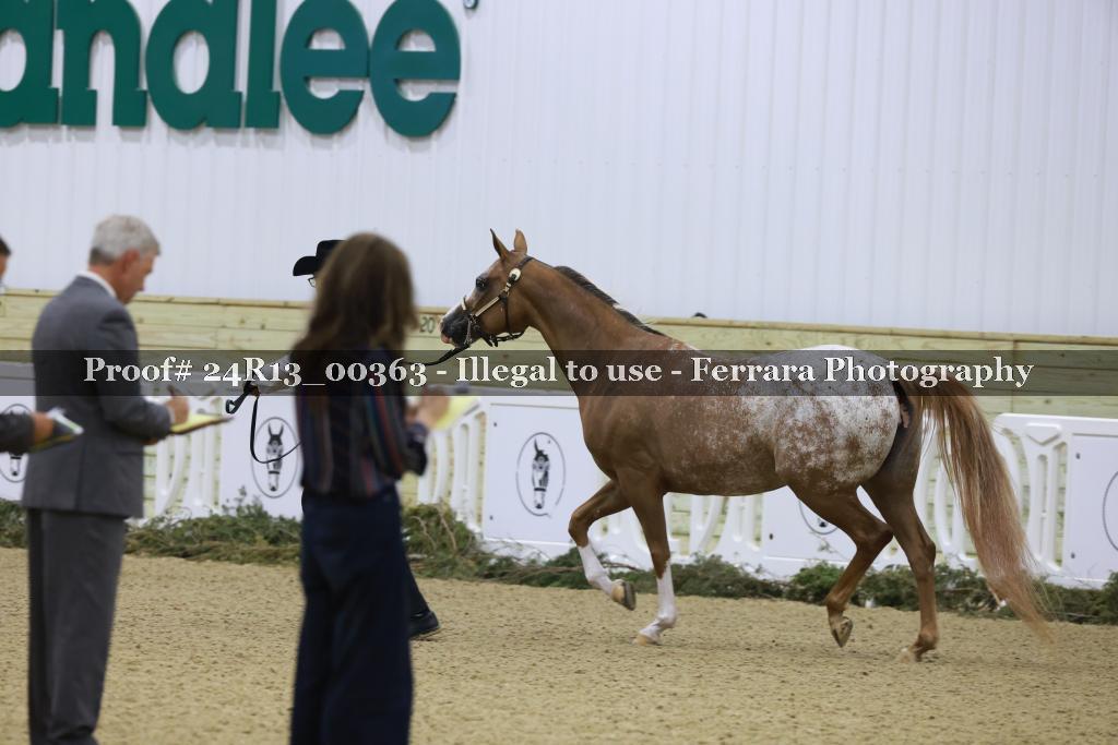 Proof Number 24R13_00363