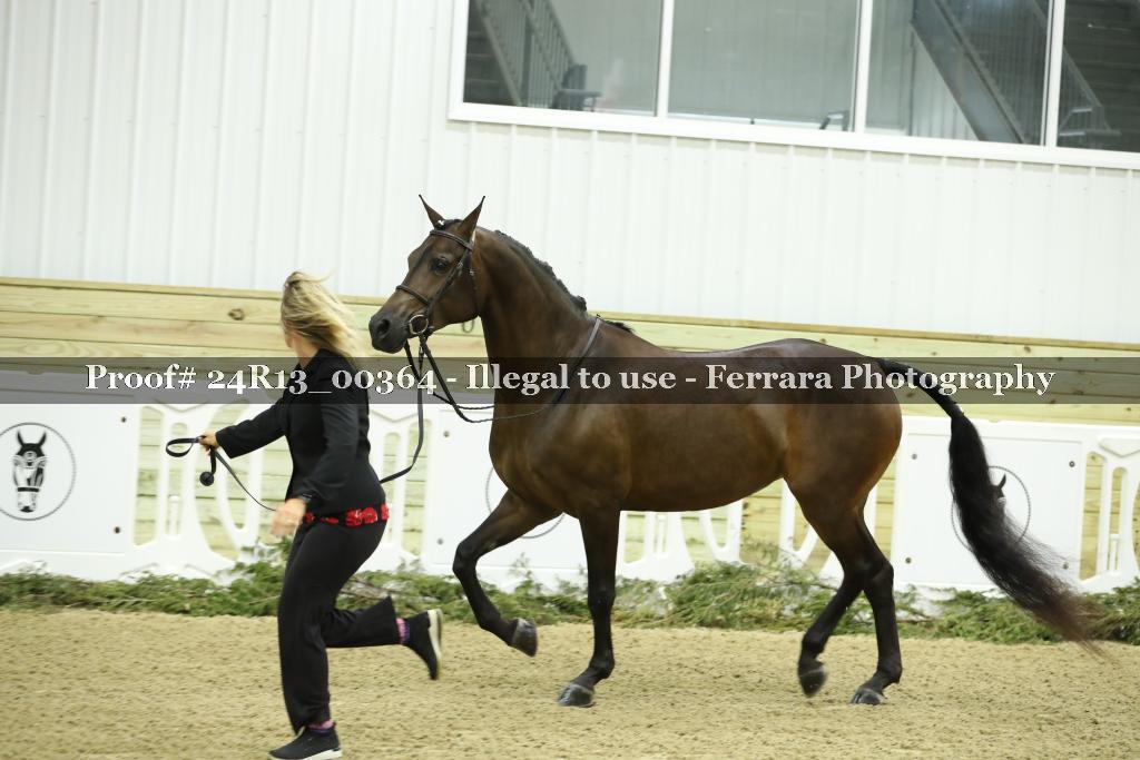 Proof Number 24R13_00364