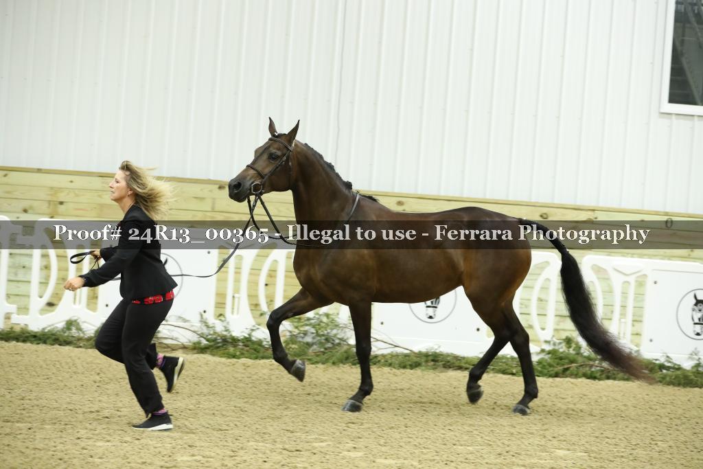 Proof Number 24R13_00365