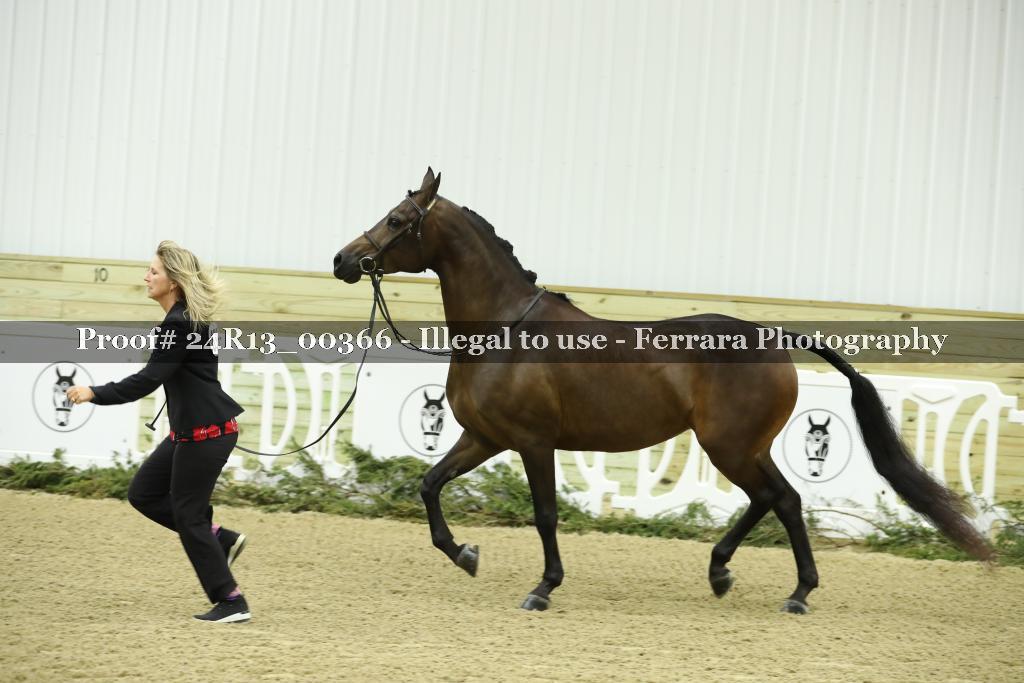 Proof Number 24R13_00366