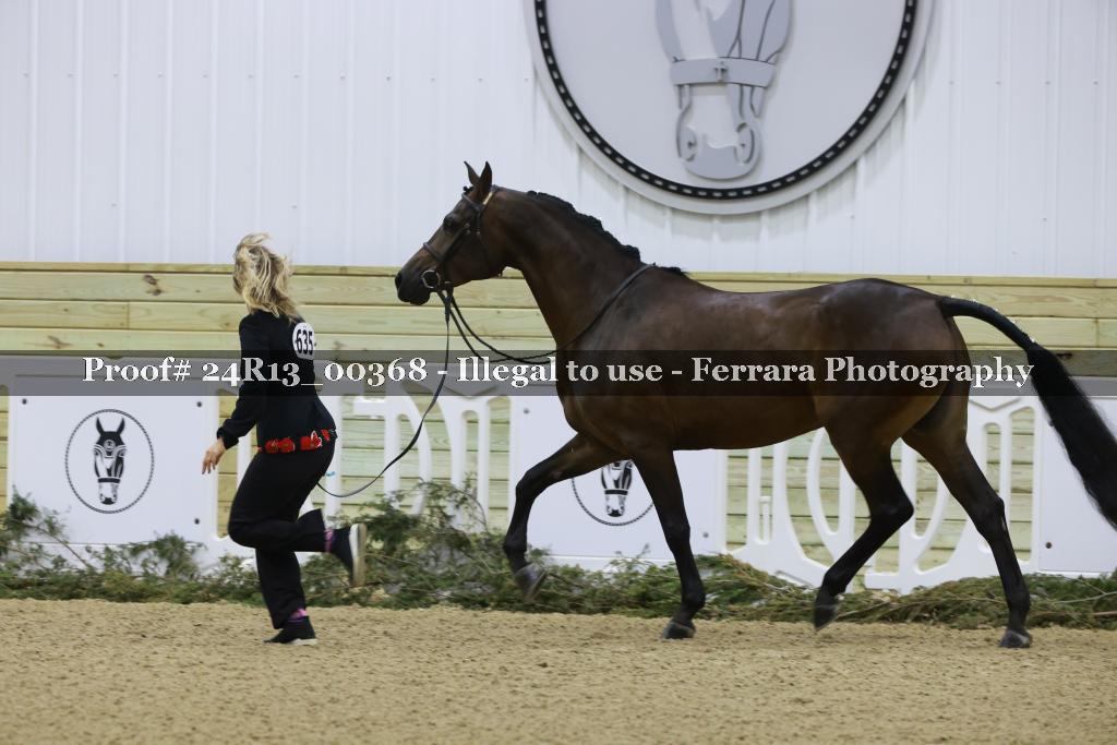Proof Number 24R13_00368