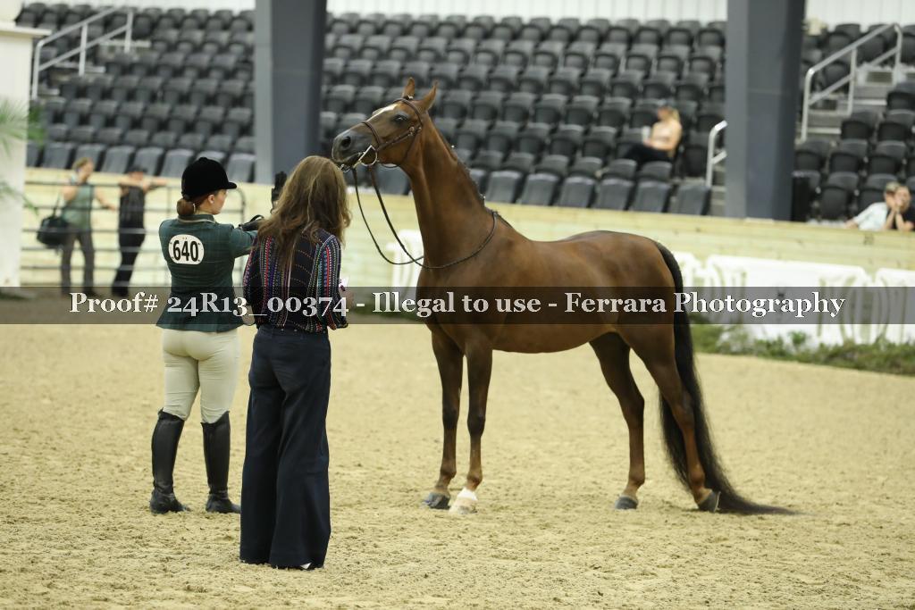 Proof Number 24R13_00374