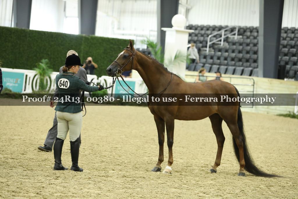 Proof Number 24R13_00380