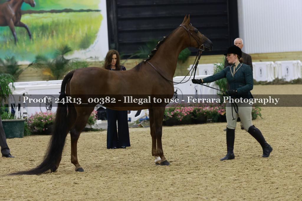 Proof Number 24R13_00382