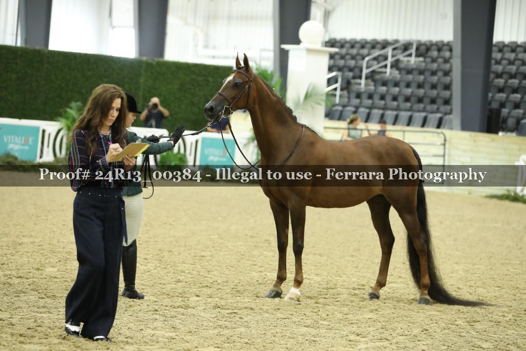Proof Number 24R13_00384