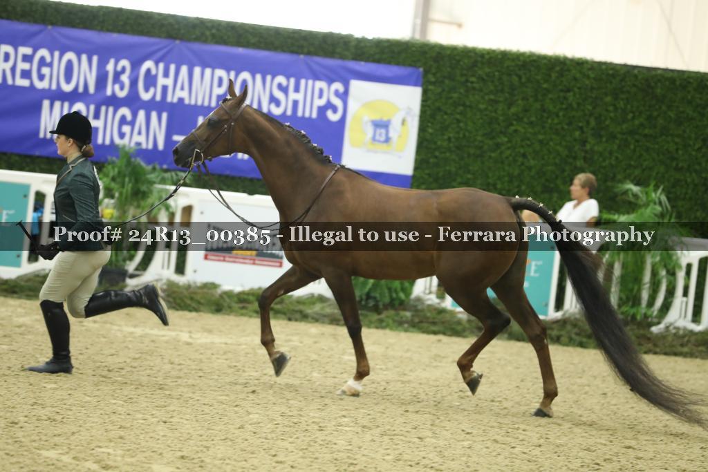 Proof Number 24R13_00385
