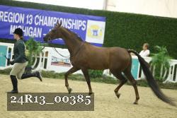 24R13_00385 thumbnail