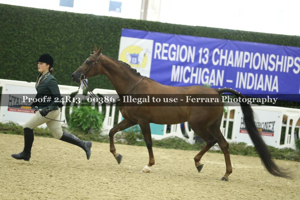 Proof Number 24R13_00386