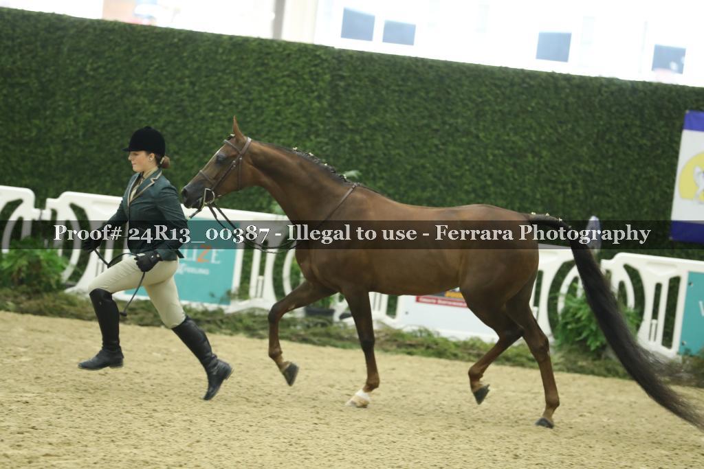 Proof Number 24R13_00387
