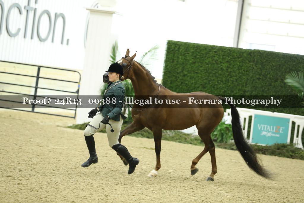 Proof Number 24R13_00388