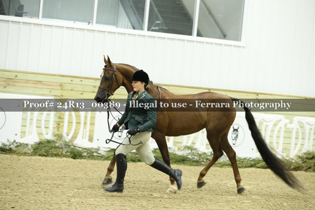 Proof Number 24R13_00389