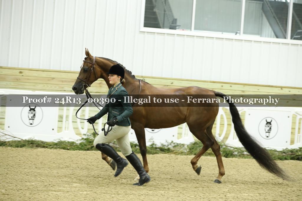 Proof Number 24R13_00390