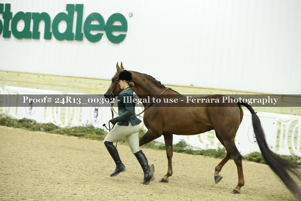 Proof Number 24R13_00392