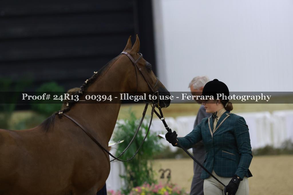 Proof Number 24R13_00394