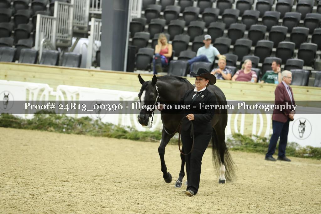 Proof Number 24R13_00396