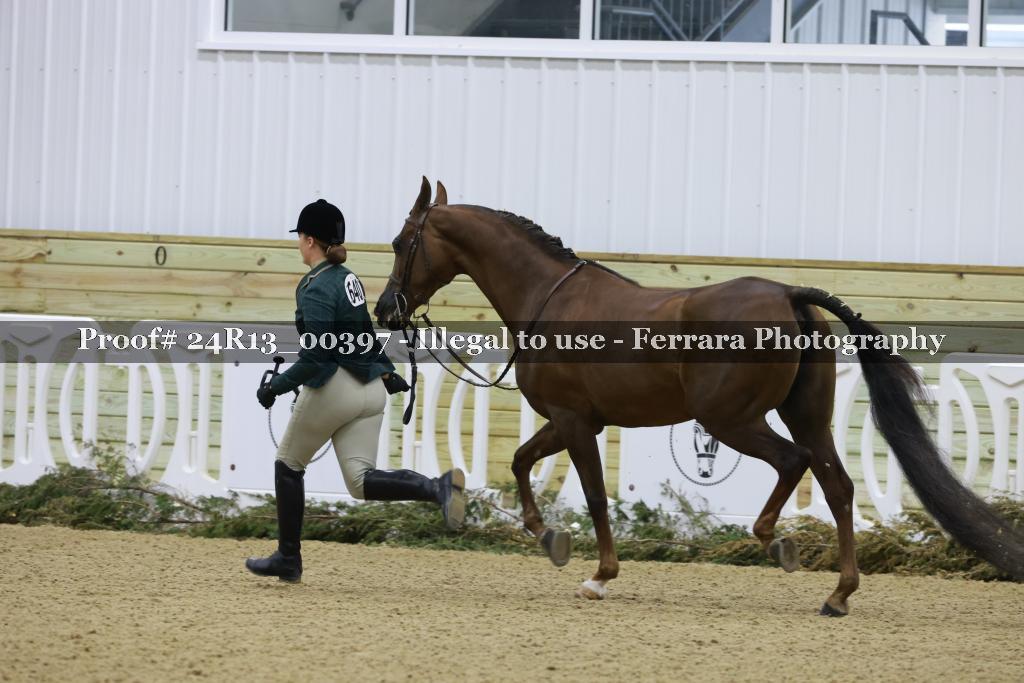 Proof Number 24R13_00397