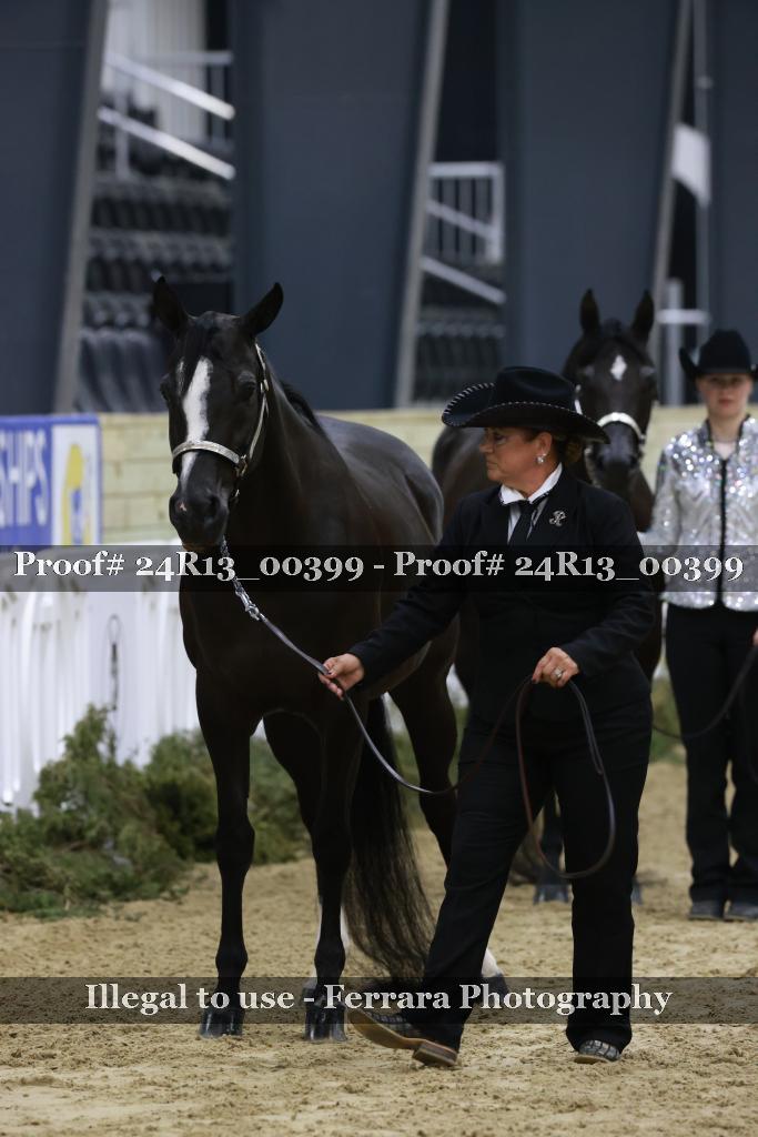 Proof Number 24R13_00399