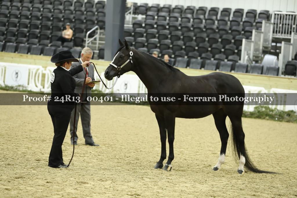Proof Number 24R13_00401