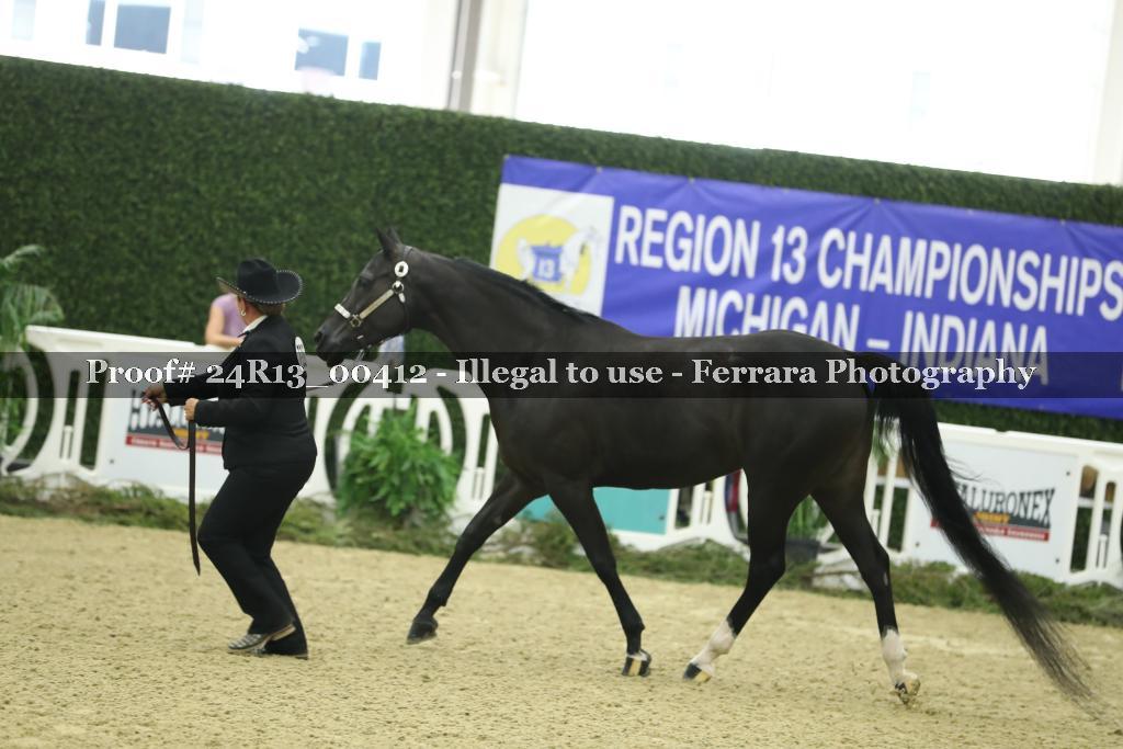 Proof Number 24R13_00412